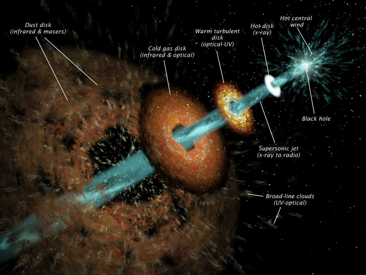A cutaway illustration of an active galactic nucleus, labelled: a black hole and hot central wind at the centre, ringed by a hot disk in x-ray, a warm turbulent disk in optical and UV, a cold gas disk in infrared and optical, and an outer dust disk in infrared and masers, with a supersonic jet from x-ray to radio running out through the middle and broad-line clouds in UV and optical.